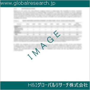 グローバルリサーチ調査資料のイメージ
